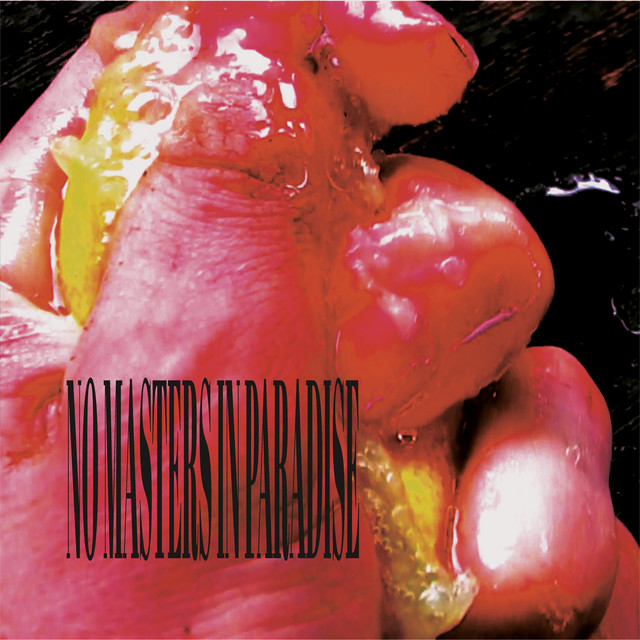 No Masters in Paradise album cover