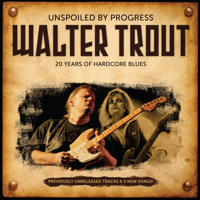 Unspoiled by Progress: 20 Years Of Hardcore Blues album cover