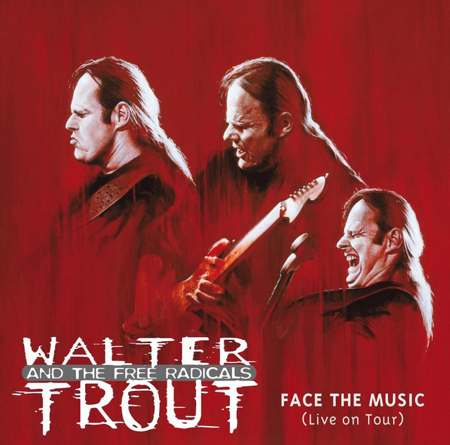 Face The Music (Live on Tour) album cover