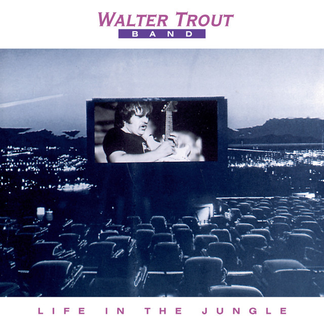 Life In The Jungle album cover