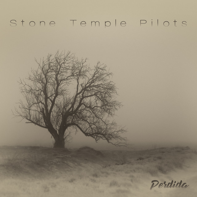 Perdida album cover