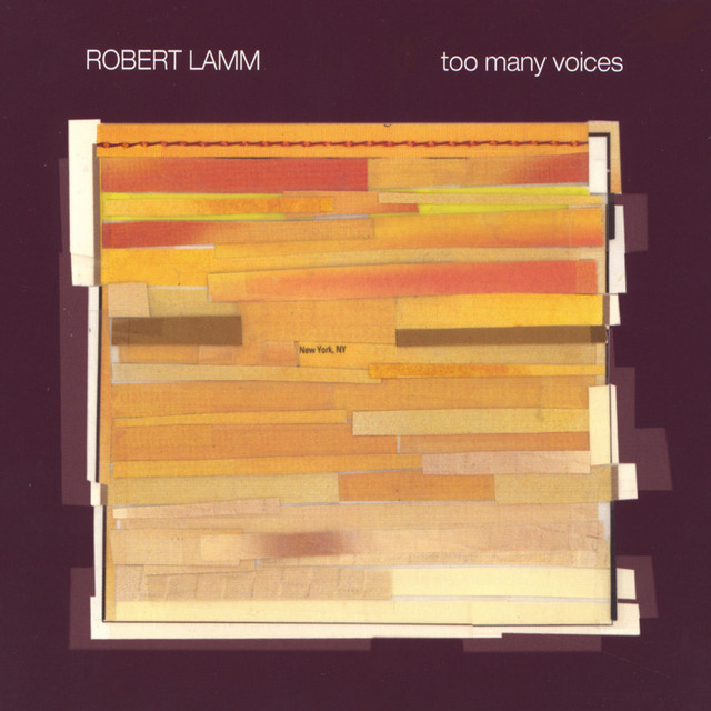 Too Many Voices album cover