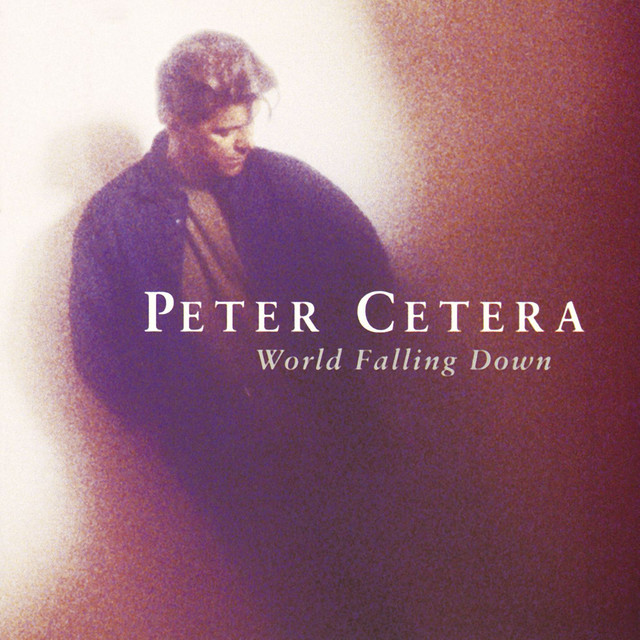 World Falling Down album cover
