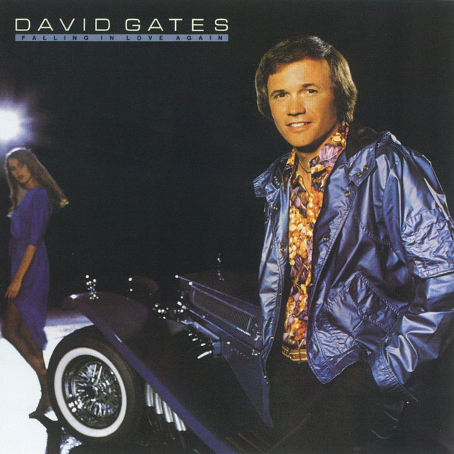 Falling in Love Again album cover