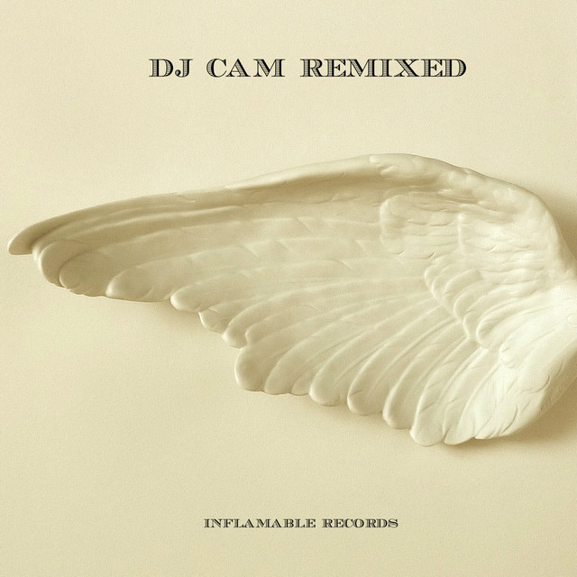 Remixed album cover