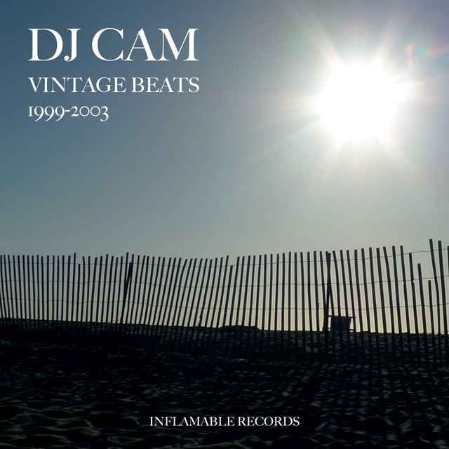 Vintage Beats 1999-2003 album cover