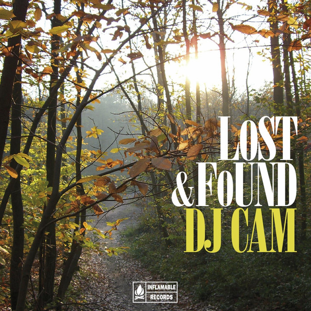 Lost & Found Compilation album cover