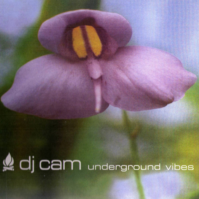 Underground Vibes album cover