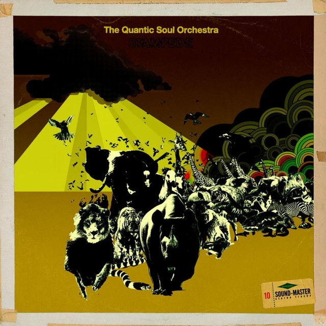 Stampede album cover