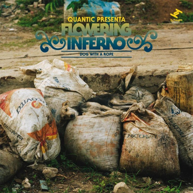 Dog With a Rope album cover