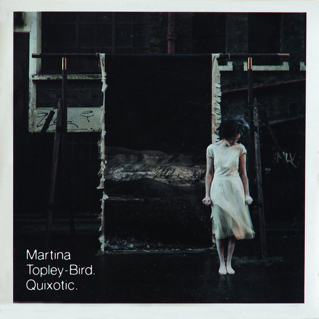 Quixotic album cover
