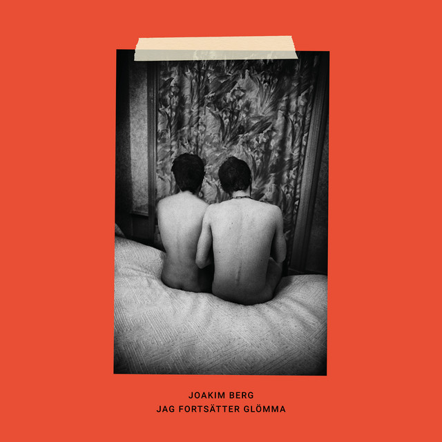 Jag fortsätter glömma album cover