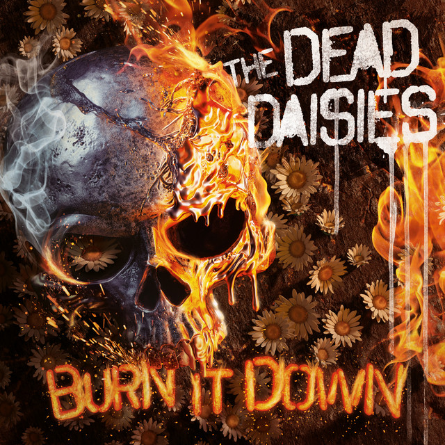 Burn It Down album cover