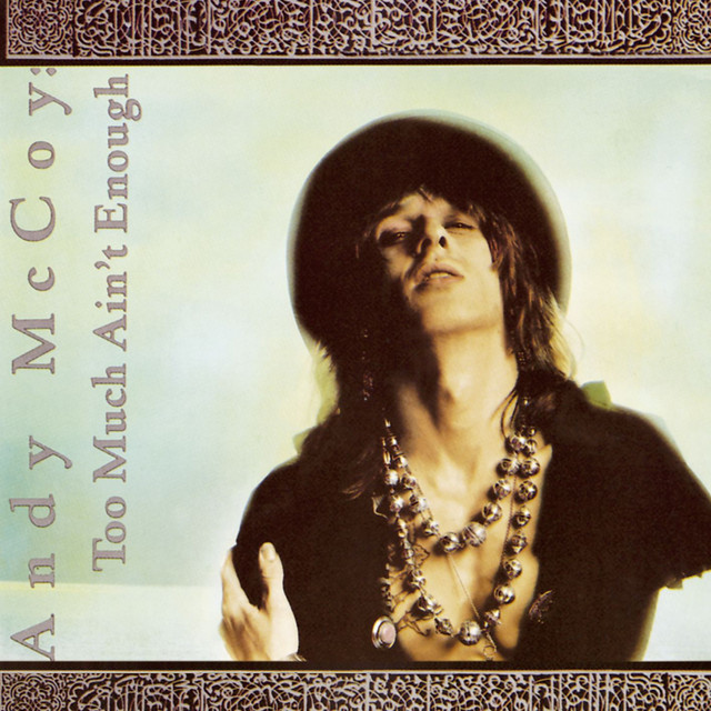 Too Much Ain't Enough album cover
