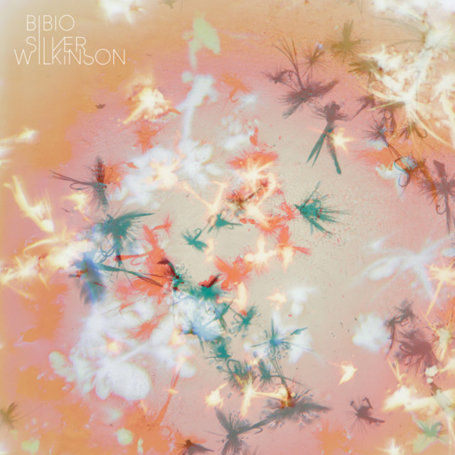 Silver Wilkinson album cover