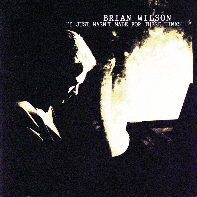 I Just Wasn't Made For These Times album cover