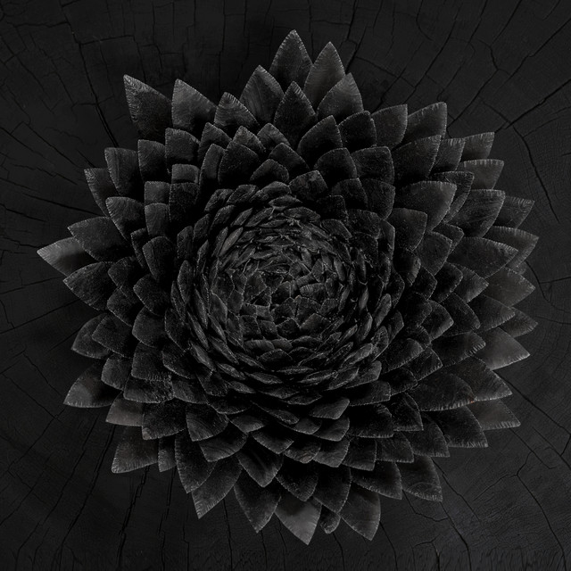 Obsidian album cover
