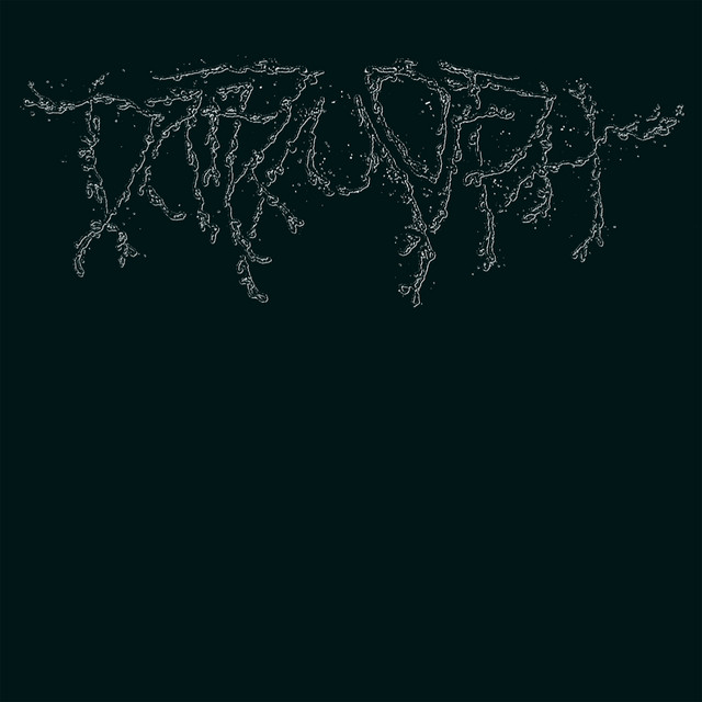 Dark Morph album cover