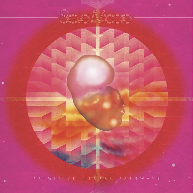 Primitive Neural Pathways album cover