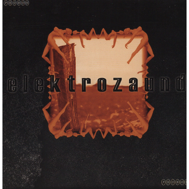 Elektrozaund album cover