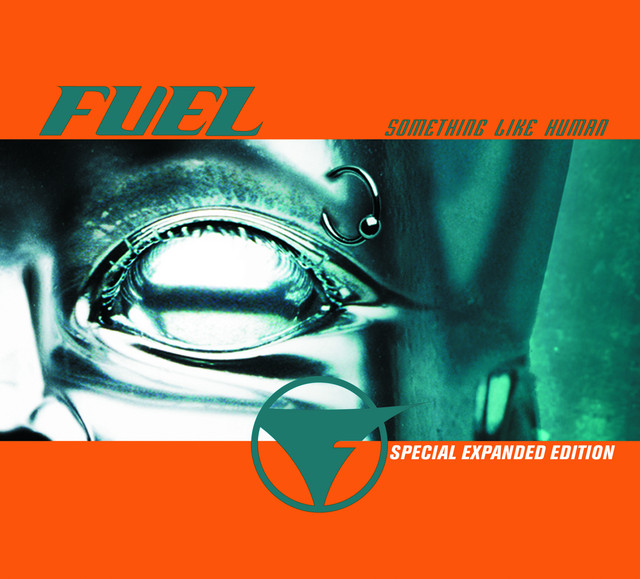 Something Like Human album cover