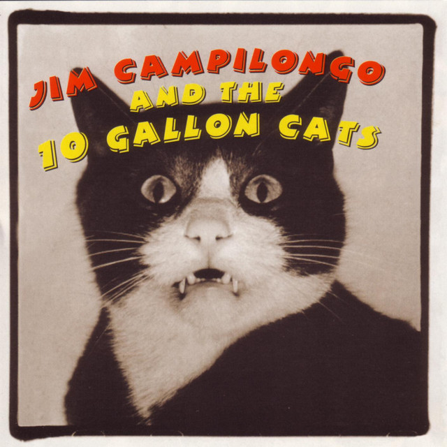 Jim Campilongo and the 10 Gallon Cats album cover