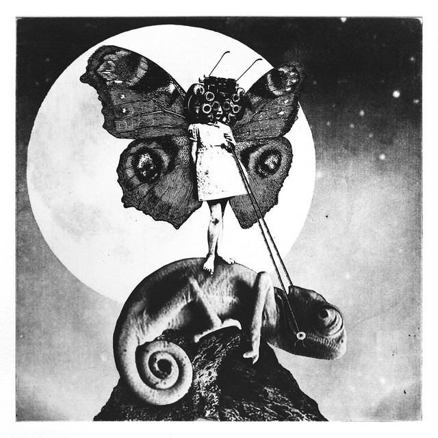 The Girl and the Chameleon album cover