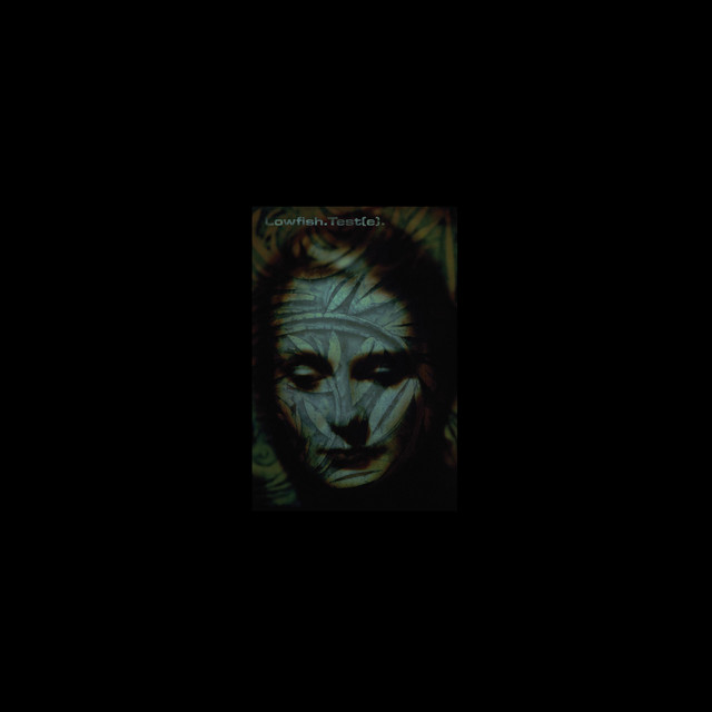 Test(e) album cover