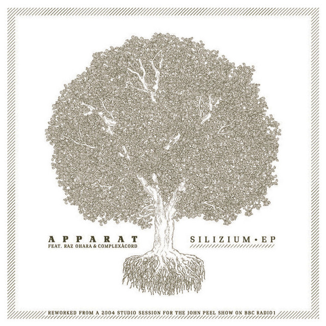 Silizium album cover