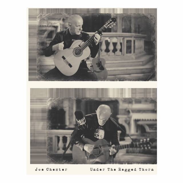 Under the Ragged Thorn (Live In Nice) album cover