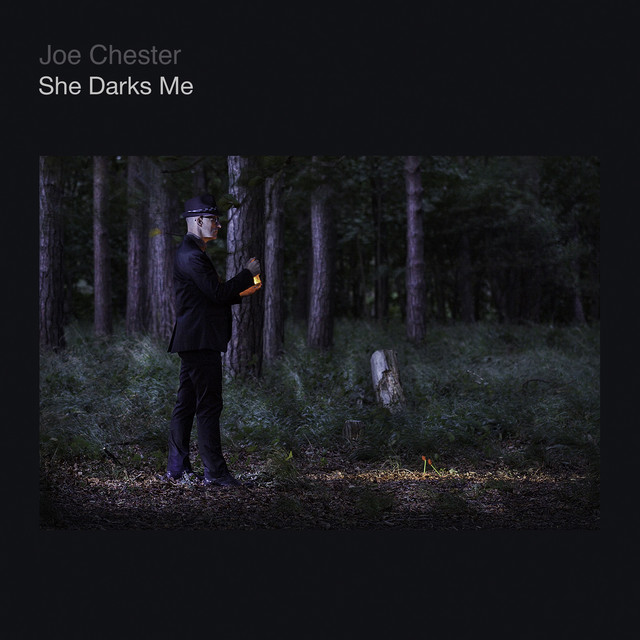 She Darks Me (2019 Remaster) album cover