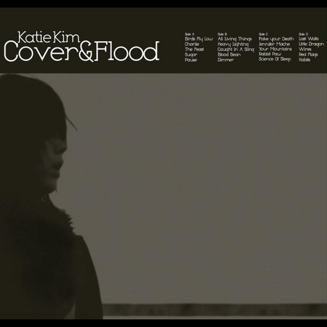 Cover & Flood album cover