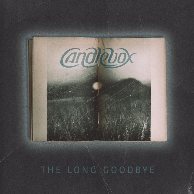 The Long Goodbye album cover