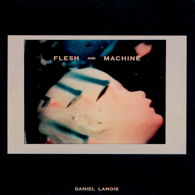 WaveMachine Labs Drumagog as heard on Flesh And Machine by Daniel Lanois (2014)