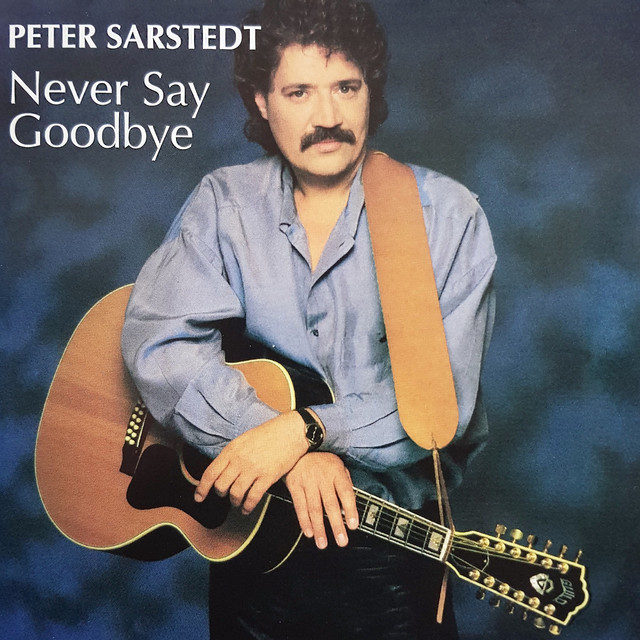 Never Say Goodbye album cover