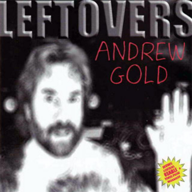 Leftovers album cover