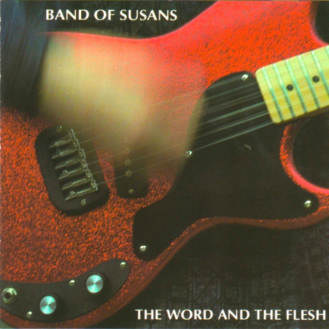 Fender Jazzmaster as heard on The Word and the Flesh by Band of Susans (2012)