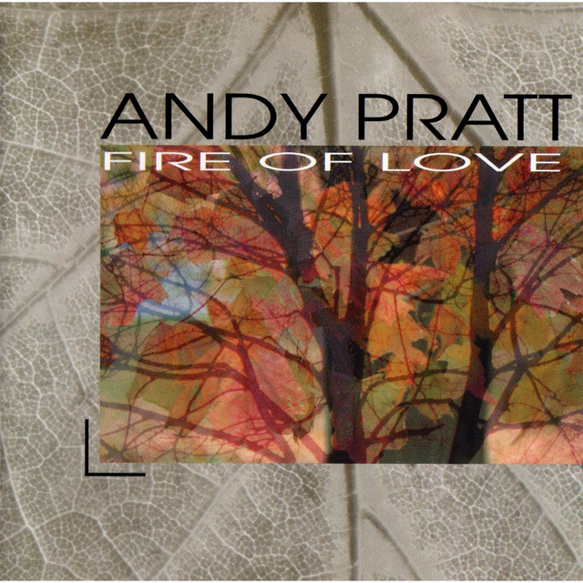 Fire of Love album cover