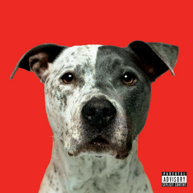 FLIGHT album cover