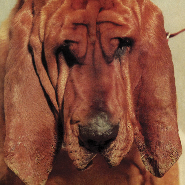 Goodbye Bread album cover
