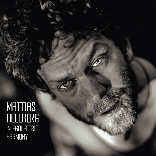 In Egolectric Harmony album cover