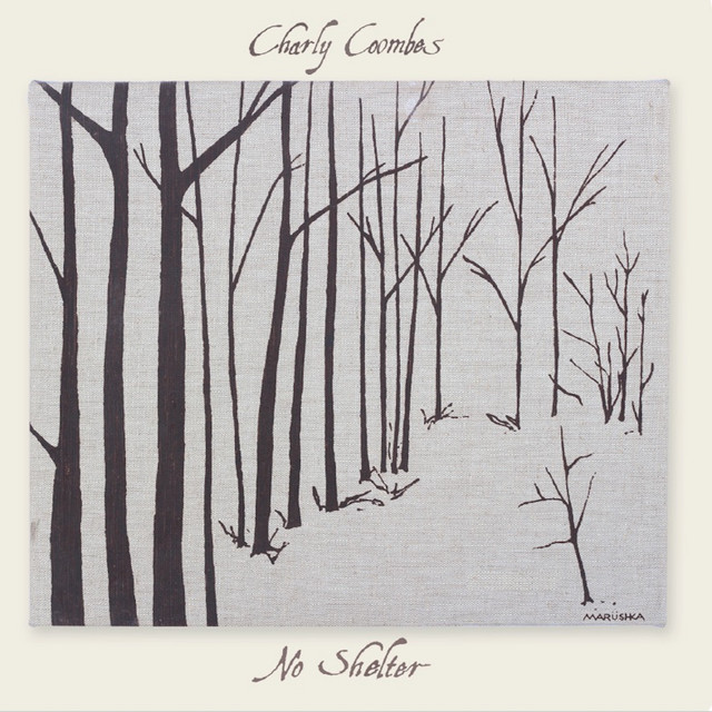 No Shelter album cover