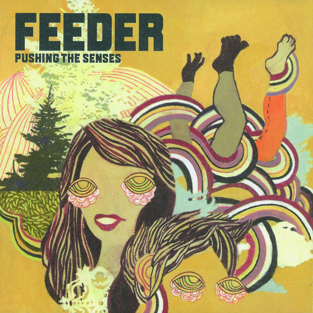 Pushing the Senses album cover