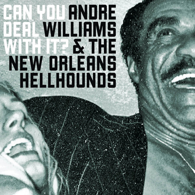 Can You Deal With It? album cover