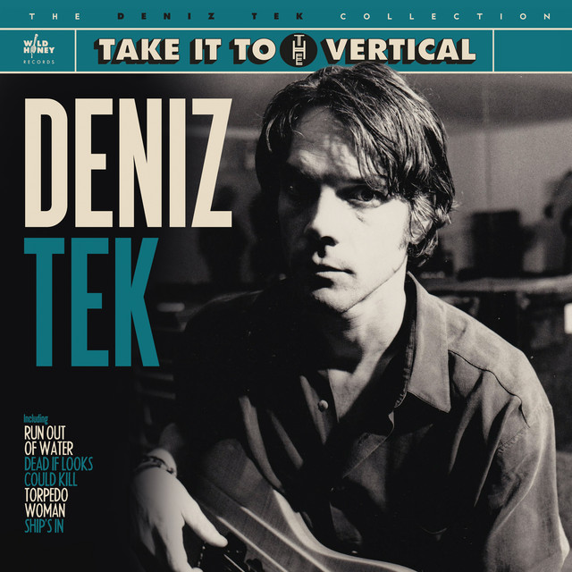Take It to the Vertical album cover