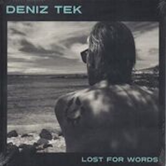 Lost for Words album cover