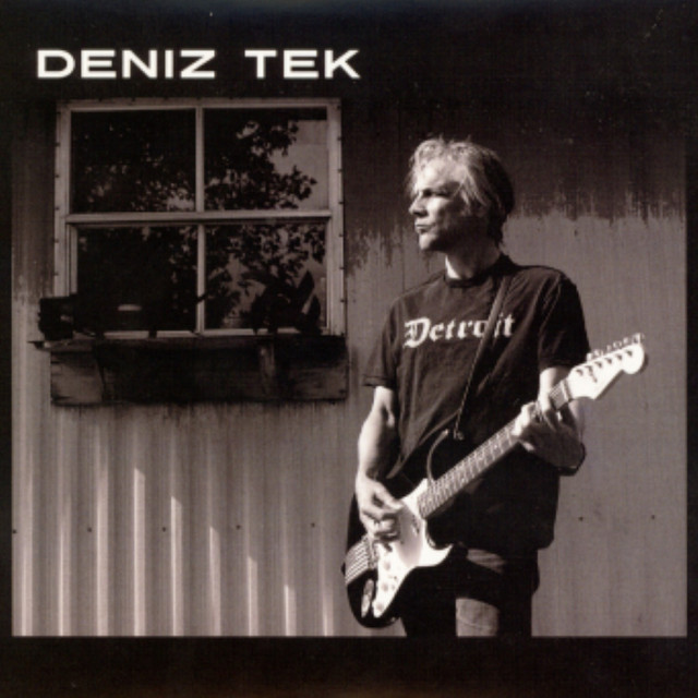 Deniz Tek album cover