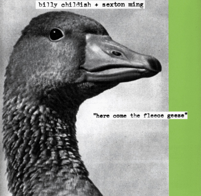 Here Come The Fleece Geese album cover