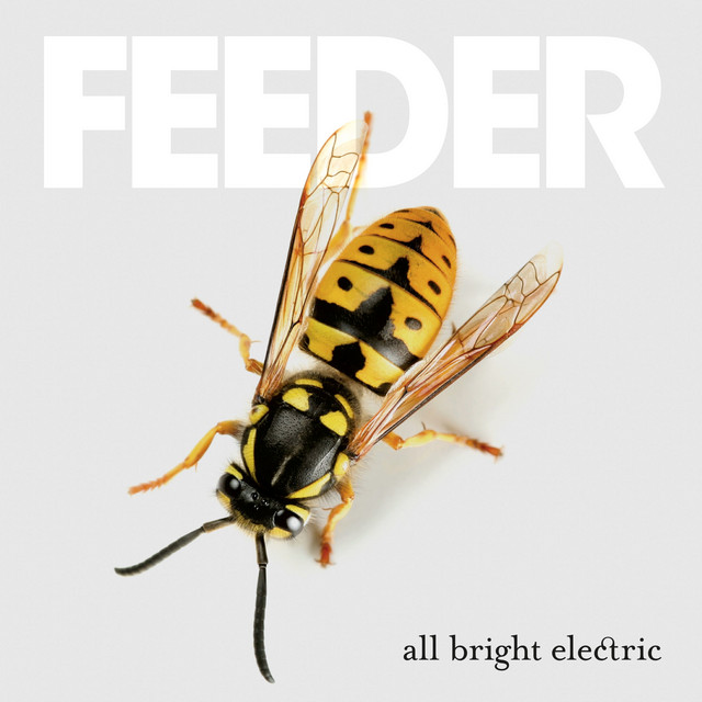 Feeder – Eskimo album cover