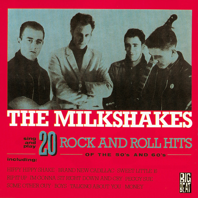 20 Rock and Roll Hits of the 50s and 60s album cover